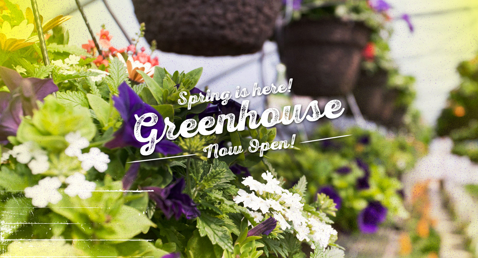 Greenhouse Now Open Greenhouse Now Open